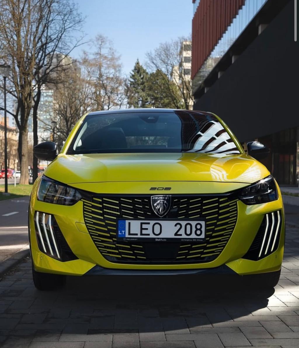 NEW　FACE　208　🎶