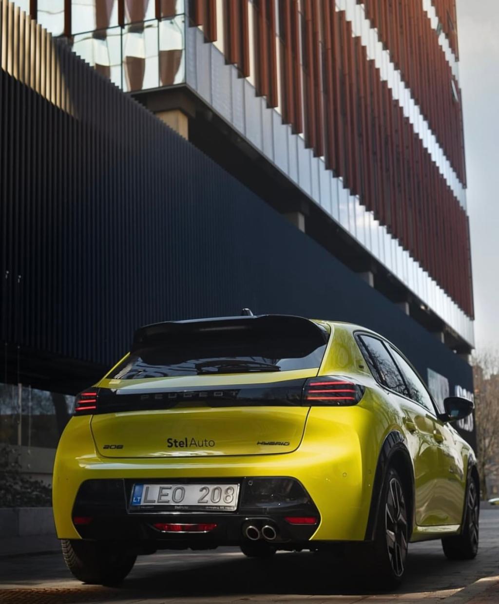 NEW　FACE　208　🎶