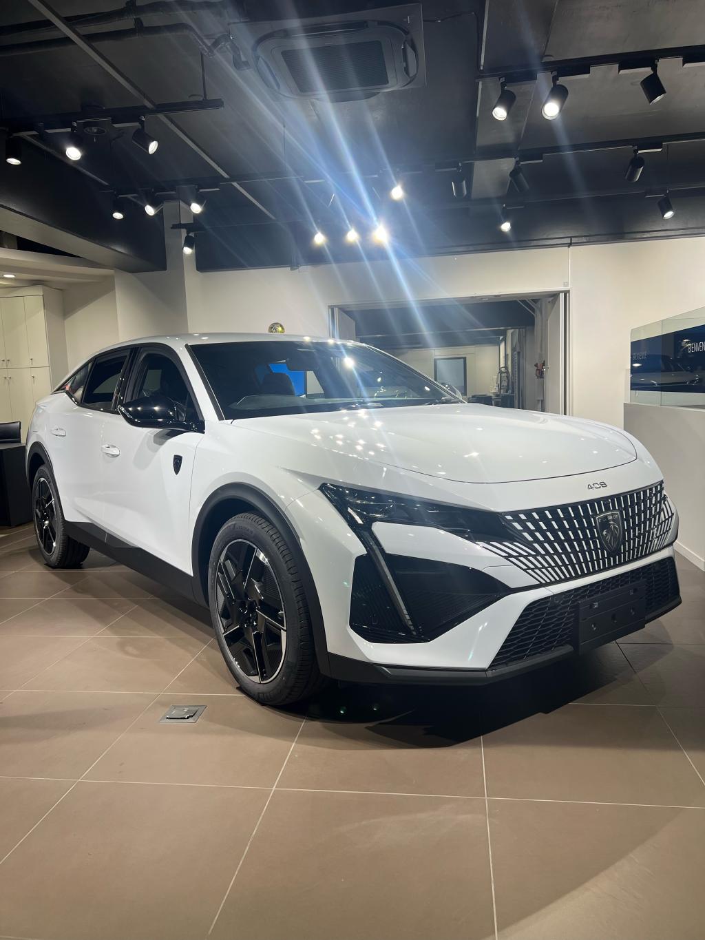 展示車入れ替えました！