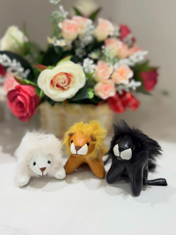 ミニライオン🦁