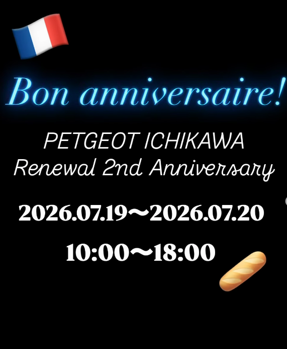 プジョー市川店2周年イベント開催いたします✨