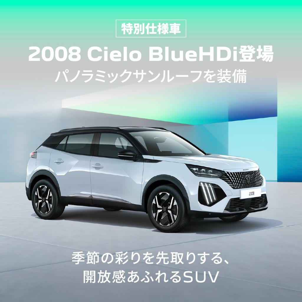 特別仕様車2008🚙💨