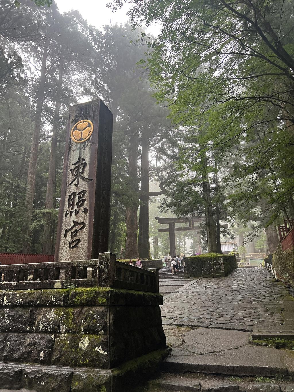 祝☆ご納車