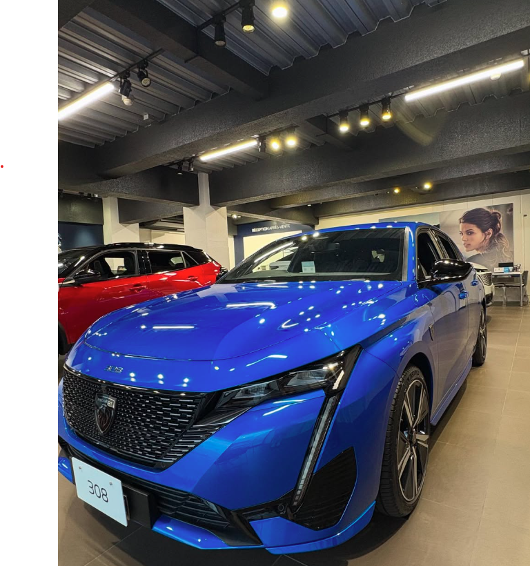 展示車ご紹介　🚗💨