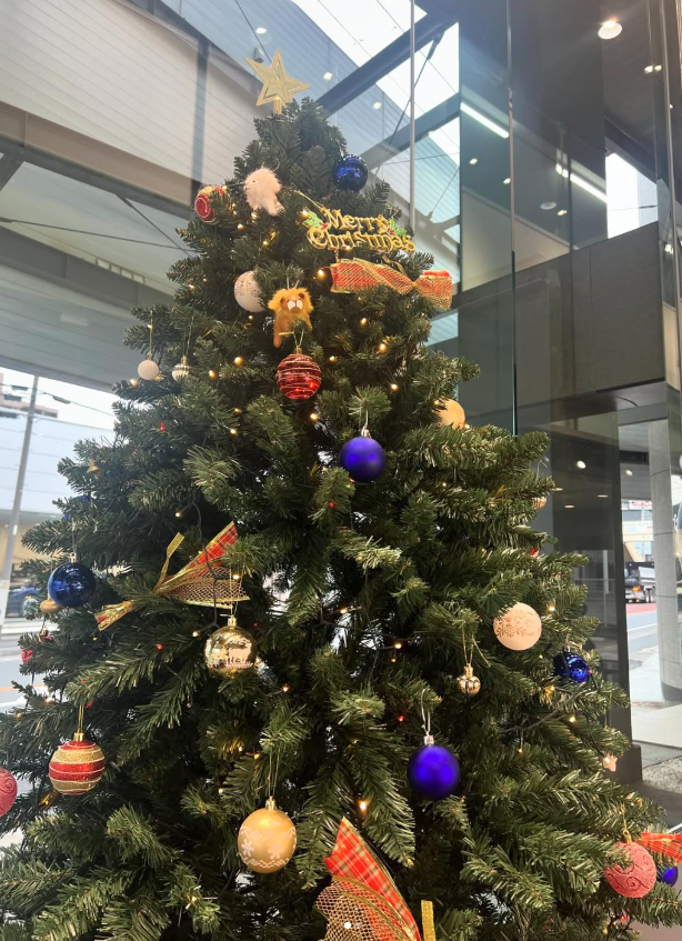 クリスマスツリー設置いたしました🎄