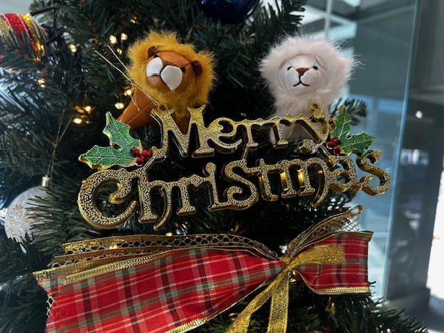 2025年も残すところ、あと１ヶ月☃️❄️