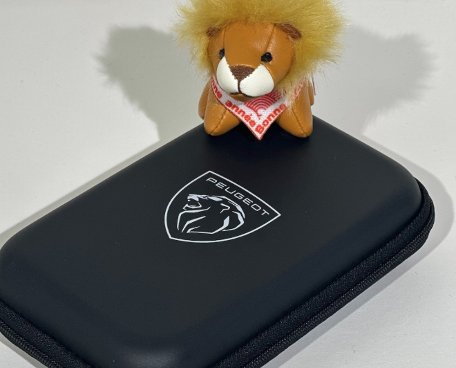 ３００８にEVモデル🚗