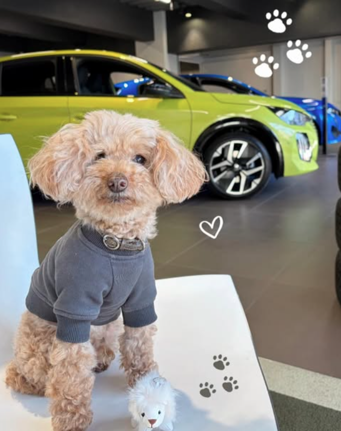 可愛いお客様🐾♥️