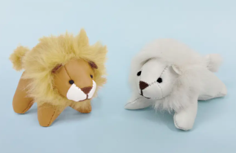 体感試乗キャンペーンを開催中です🏃‍♀️🏃‍♂️🏃