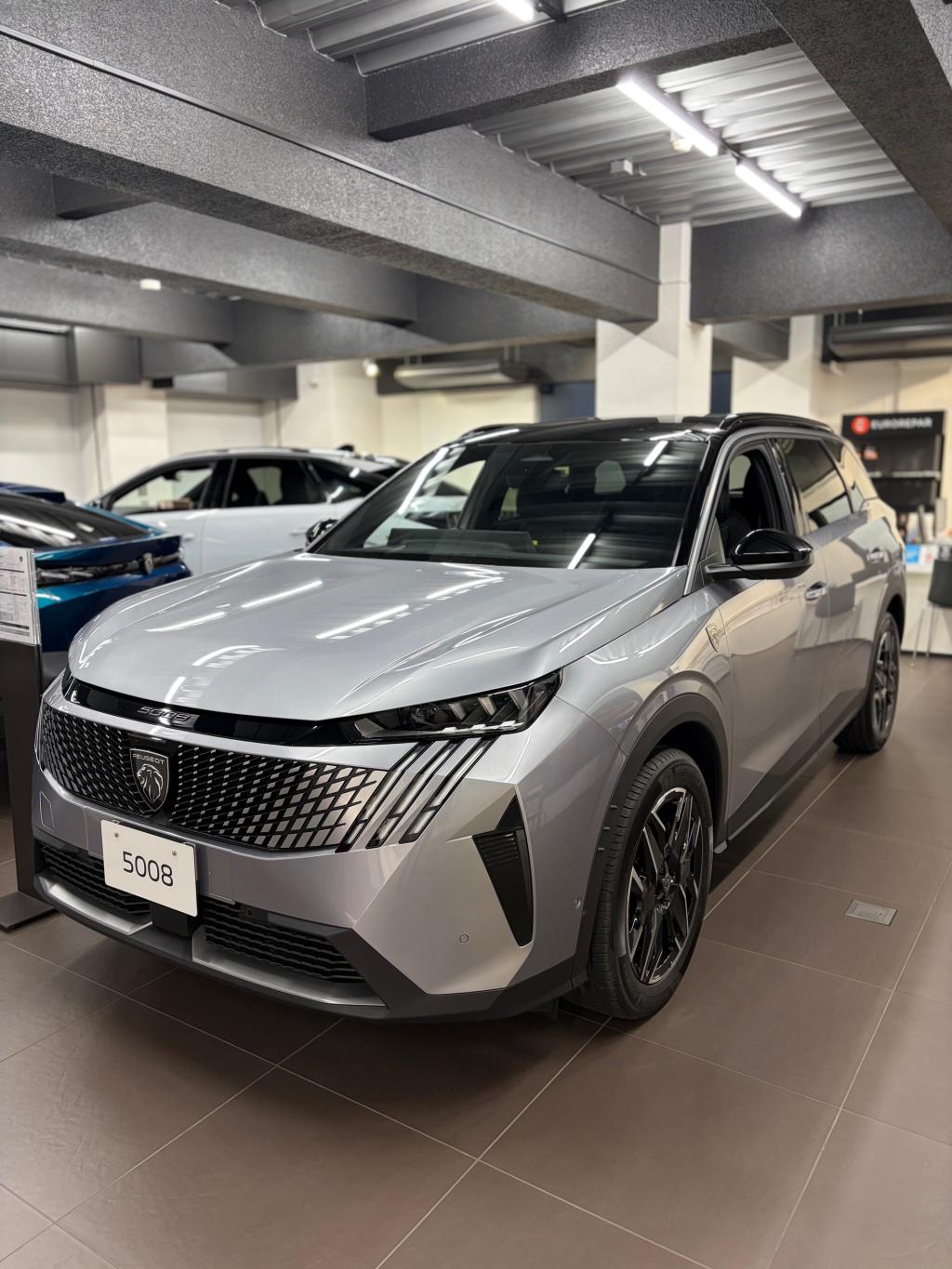 展示車のご案内🦁