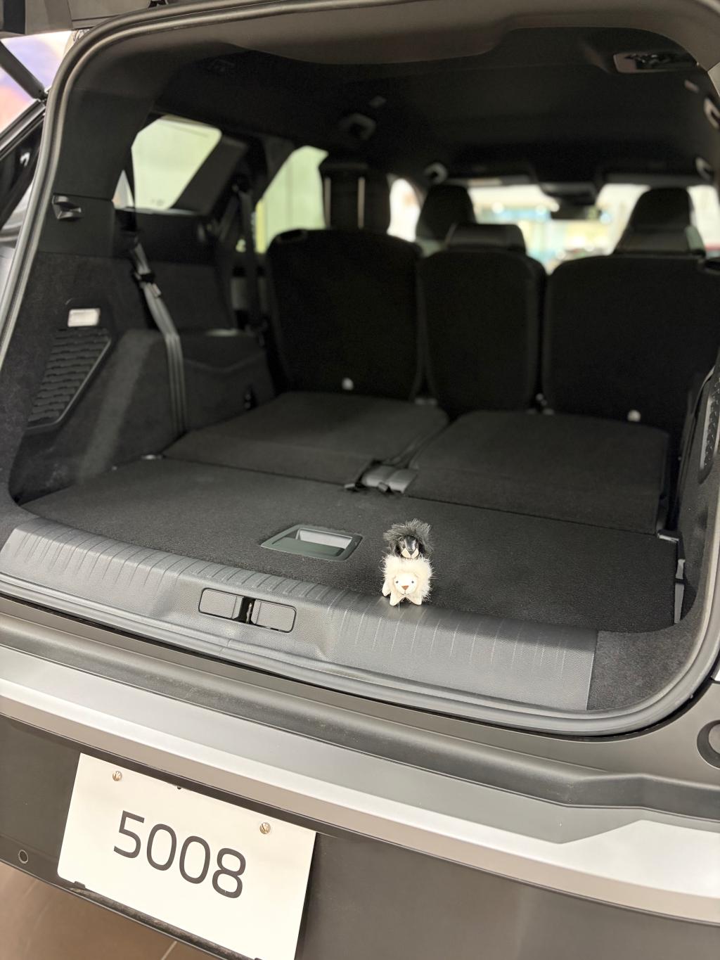 展示車のご案内🦁