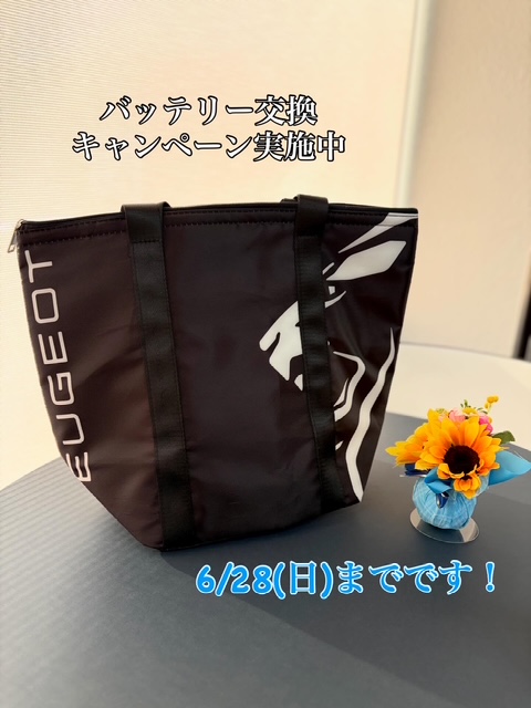 バッテリー交換キャンペーン実施中🐸