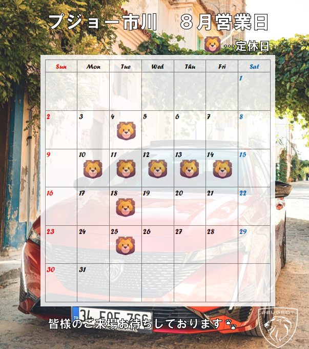 8月定休日のご案内🌻