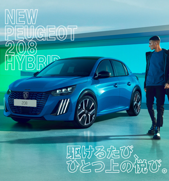 展示車ご紹介