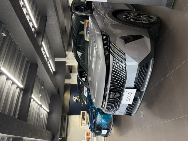 展示車を入れ替えました🦁