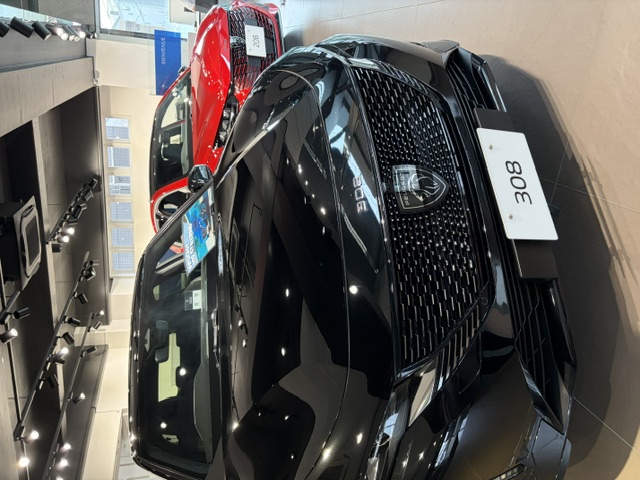 展示車を入れ替えました🦁