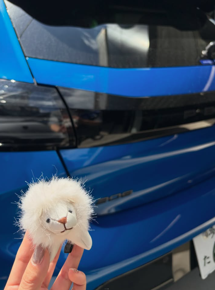 Peugeot 208 GT HYBRID☀️