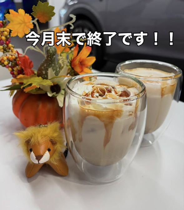 今月末で終了です！！