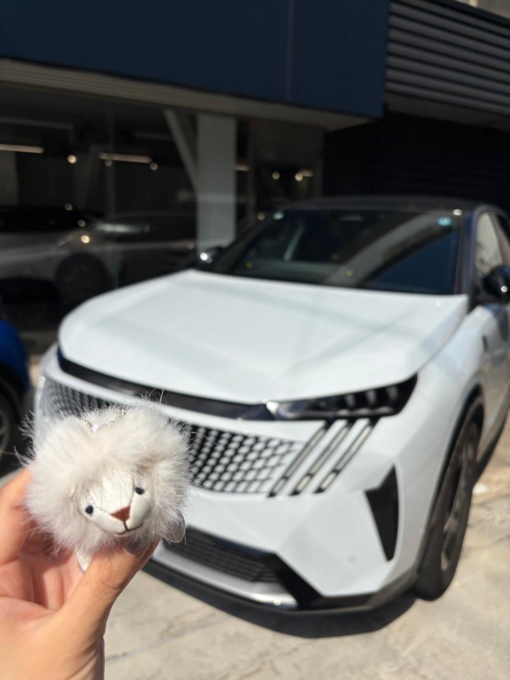 【試乗車】Peugeot 3008